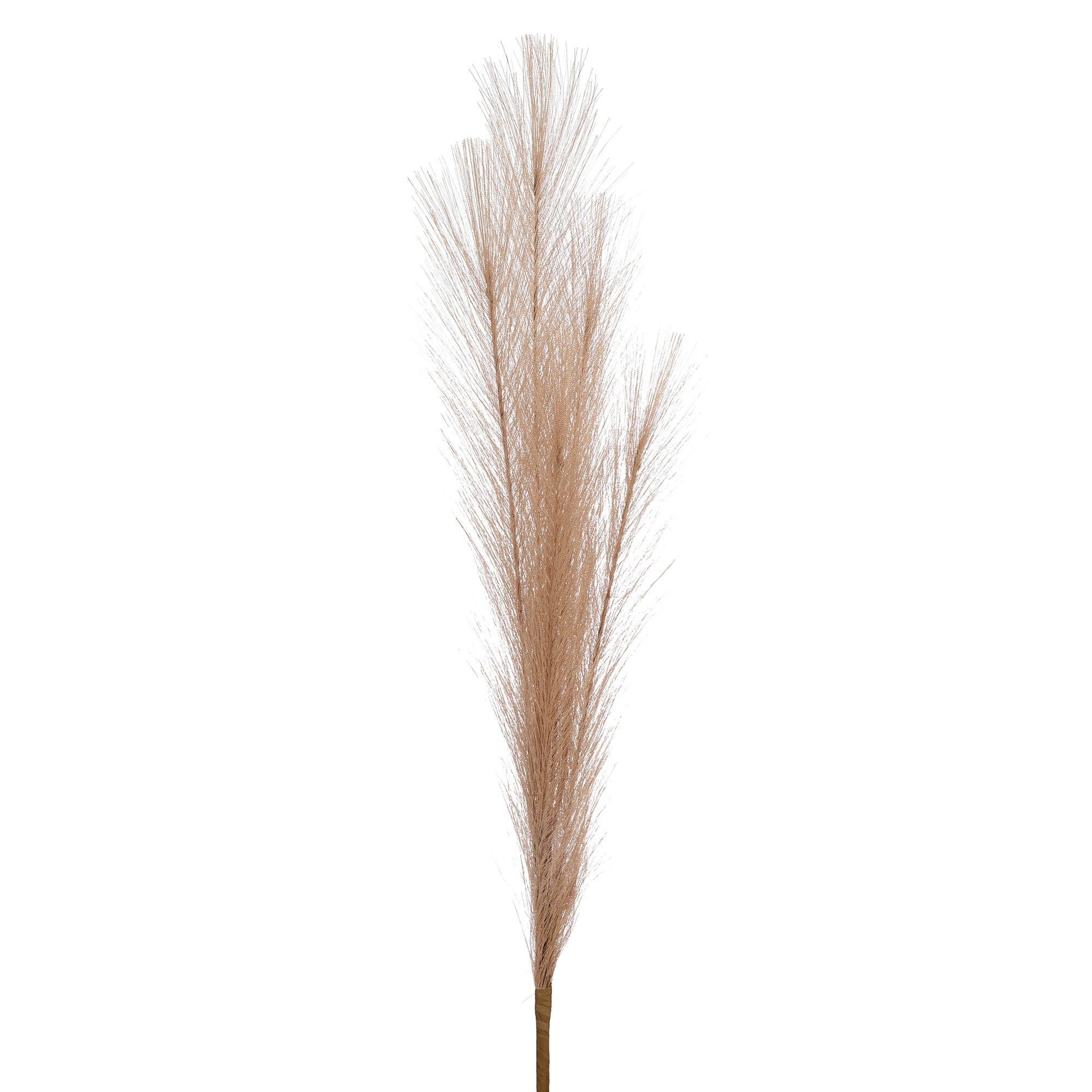 Beige Faux Pampas Grass (Set of 5)
