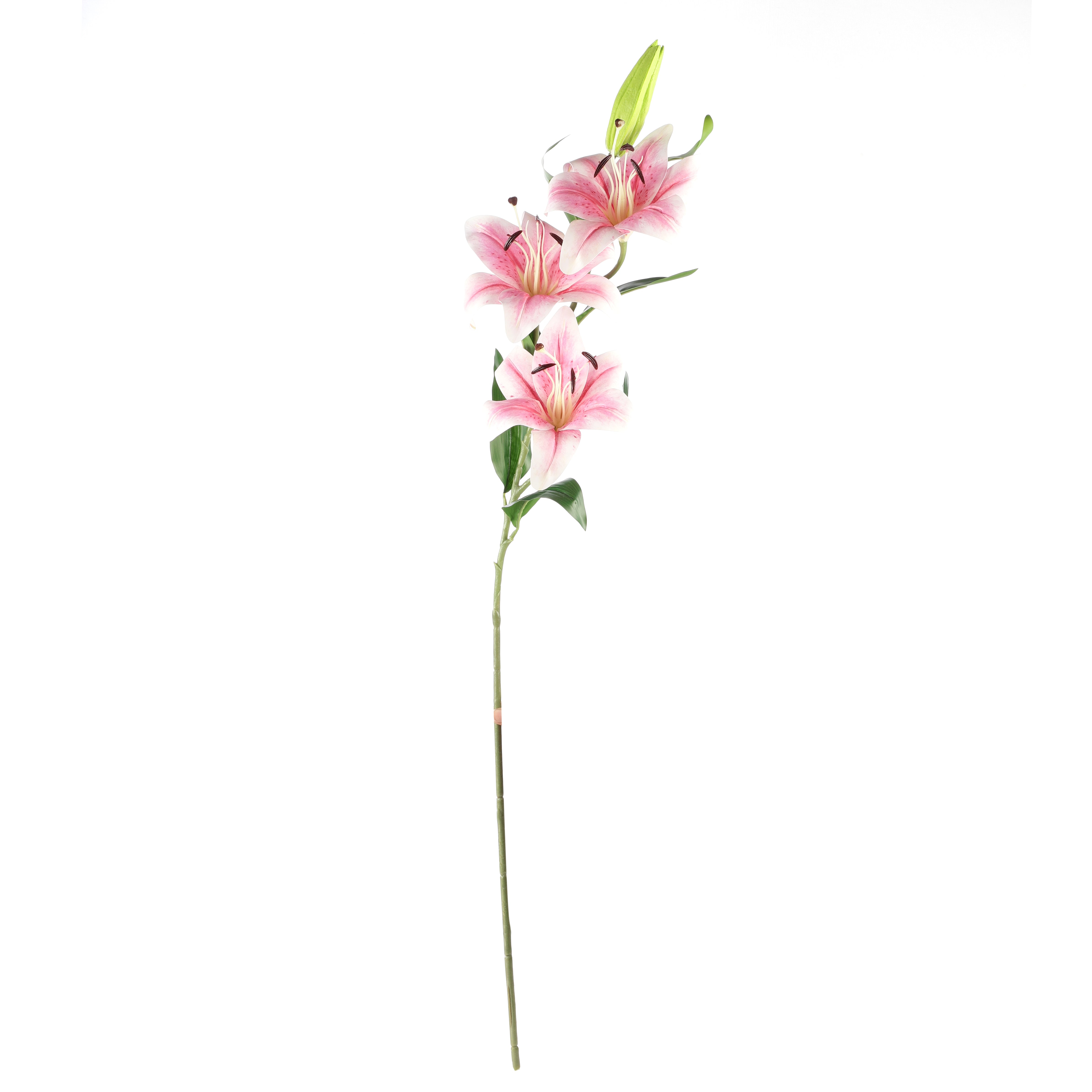 Faux Pink Lilly (Single)