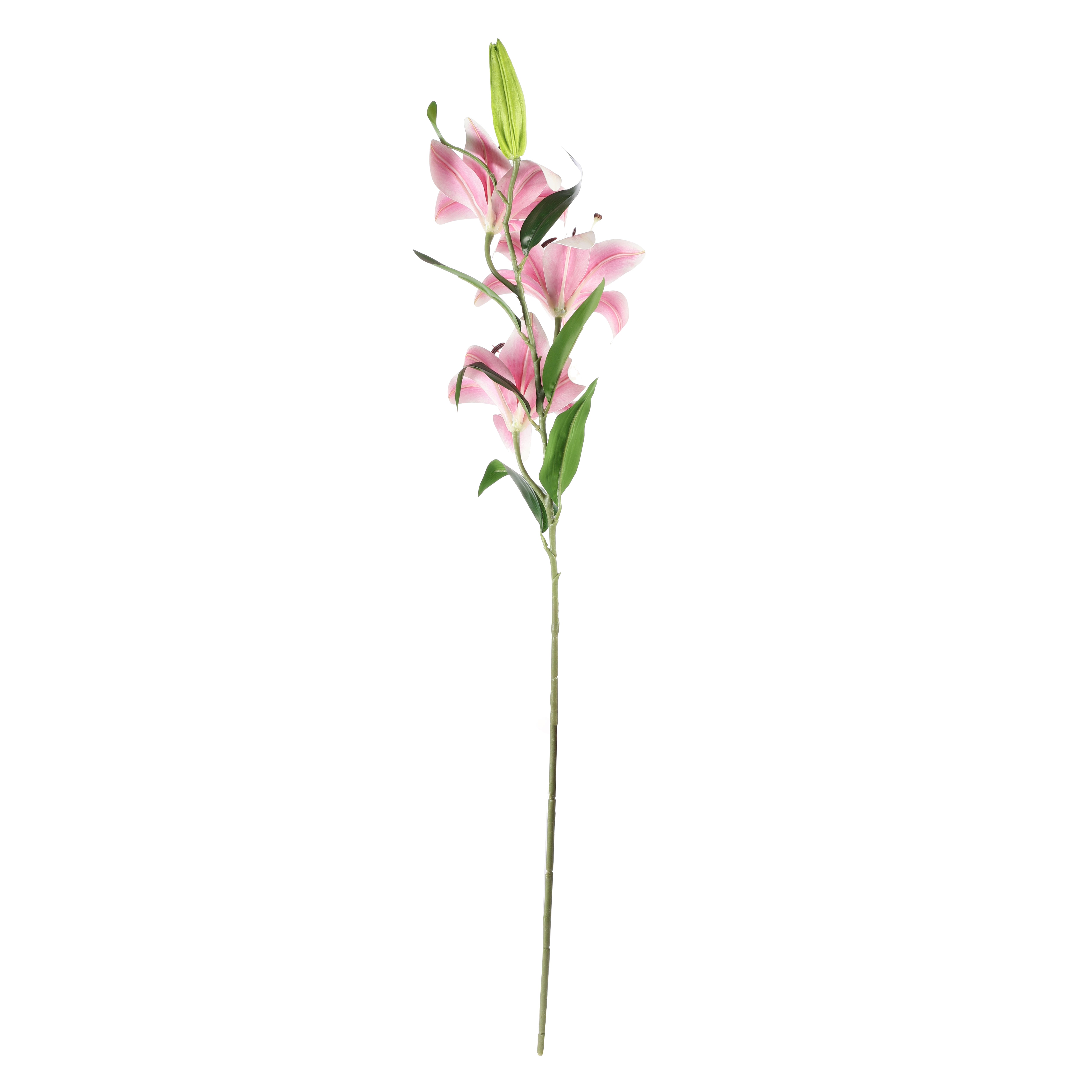 Faux Pink Lilly (Single)