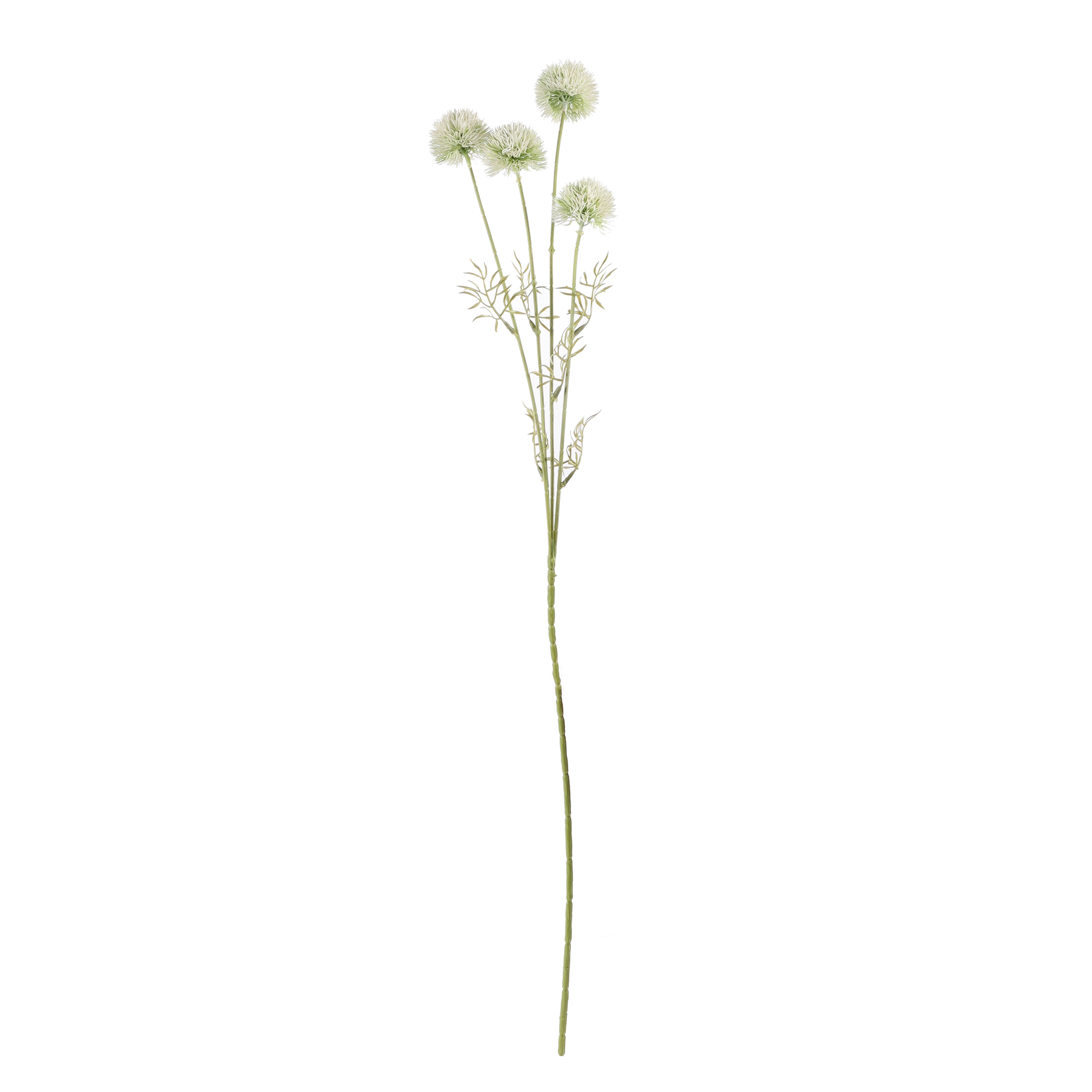 Faux Eucalyptus Gunnii Stem (Single)