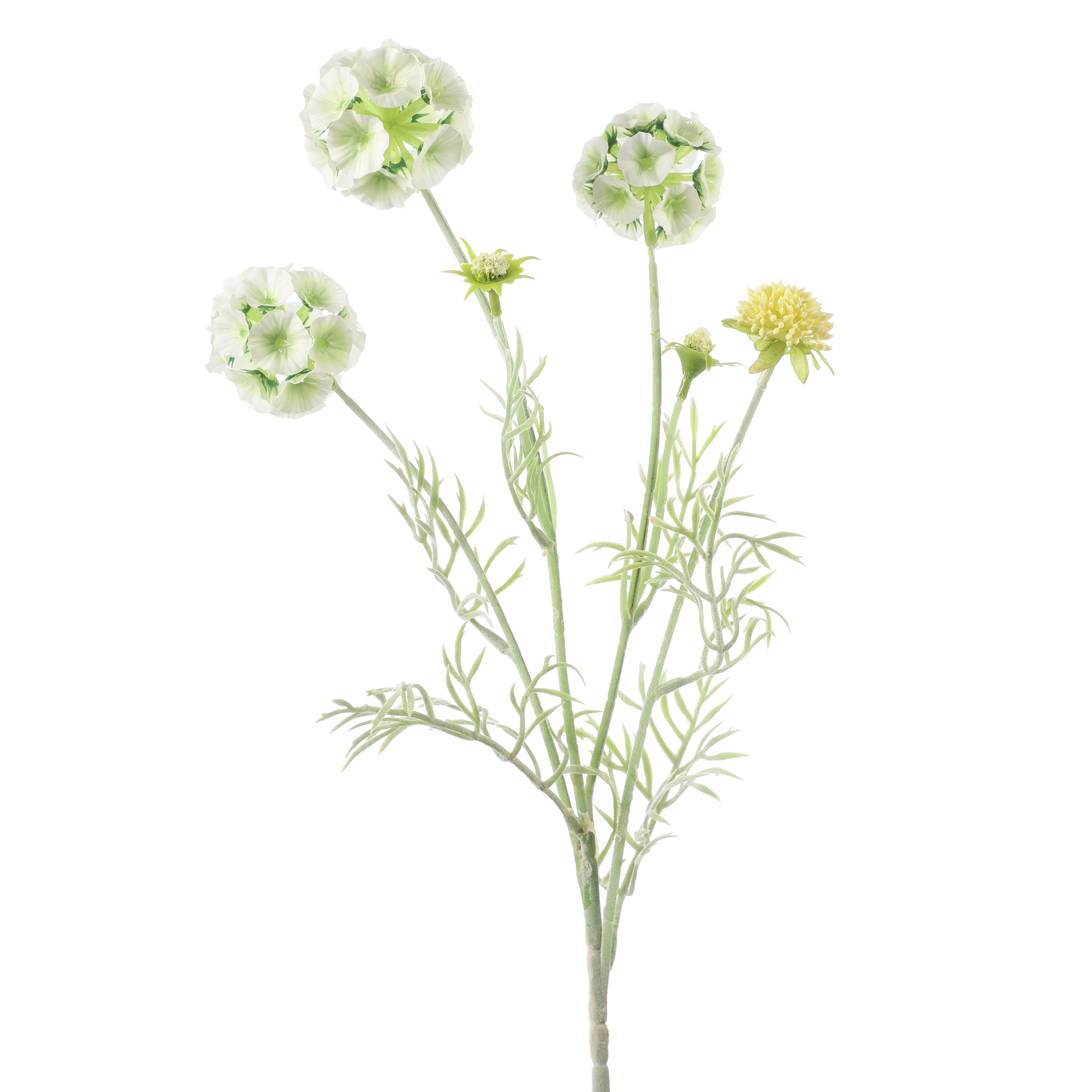 Faux Pale Green Scabiosa Stellata Stem (Single)